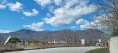 Enlarge photo 203