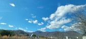 Enlarge photo 204