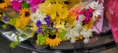Enlarge photo 208