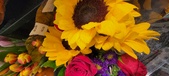 Enlarge photo 210