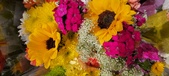 Enlarge photo 209
