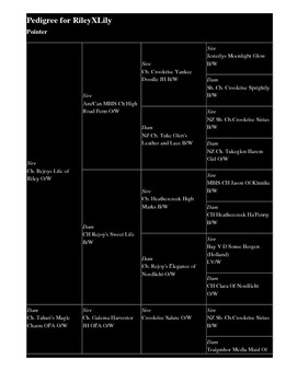 Enlarge HTML Document 36