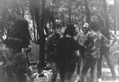 Enlarge photo 69
