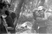 Enlarge photo 73