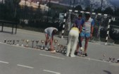 Enlarge photo 83