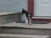 Enlarge photo 53