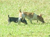 Enlarge photo 46