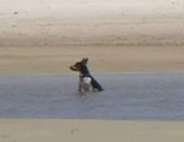 Enlarge photo 26