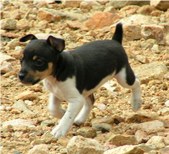 Enlarge photo 59