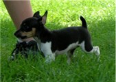 Enlarge photo 56