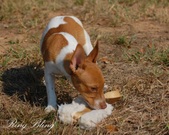 Enlarge photo 15