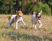 Enlarge photo 14