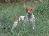 Enlarge photo 16