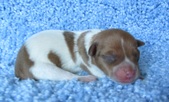 Enlarge photo 24