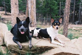 Candid Shots in July 2009