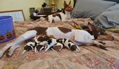 Enlarge photo 19