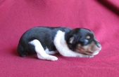 Enlarge photo 14