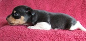 Enlarge photo 12