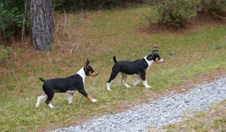 Enlarge photo 17