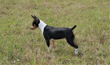 Enlarge photo 10
