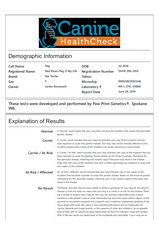 Enlarge PDF 22
