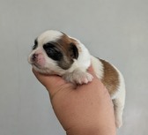 Enlarge photo 6