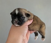 Enlarge photo 7