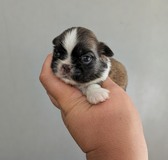 Enlarge photo 8
