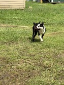 Enlarge photo 12