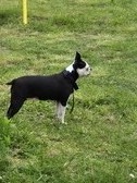 Enlarge photo 8