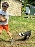 Enlarge photo 13