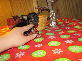 Enlarge photo 16