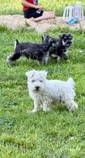 Enlarge photo 13