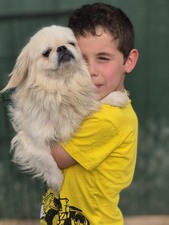 Enlarge photo 11