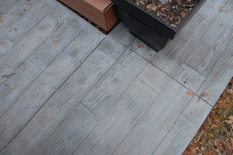 Back Patio Winter 2011