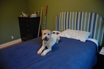 30 Jeremy Dr MARKHAM