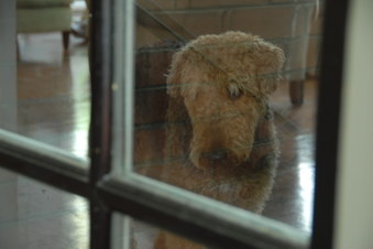 NEW IDEAS March 13th 2013