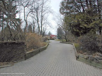 Enlarge photo 55
