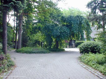 Enlarge photo 57