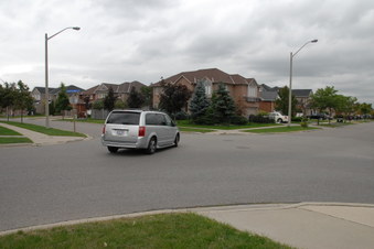 Loonlake and Whimbrel