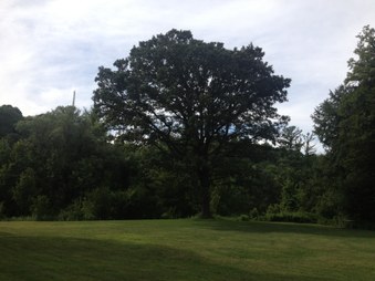 Boyd Conservation Area 2