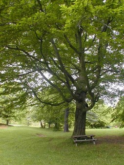 Boyd Conservation Area