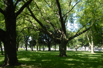 Coronation Park