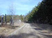 Dufferin County Forest
