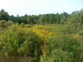Greenwood Conservation Area