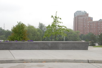 SENECA Near Main Bus Area