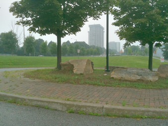 NEW BUS STOP IDEAS - Sunday