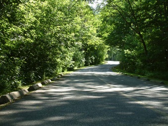 Morningside Park Road