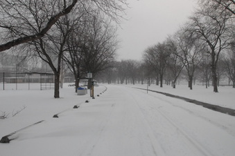 Remembrance Dr Coronation Park
