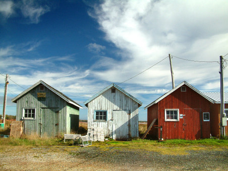 Home and native land